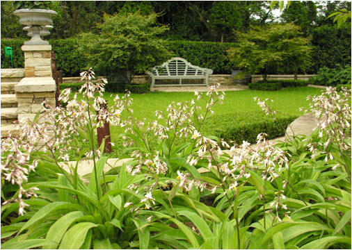 Violet Hill Garden